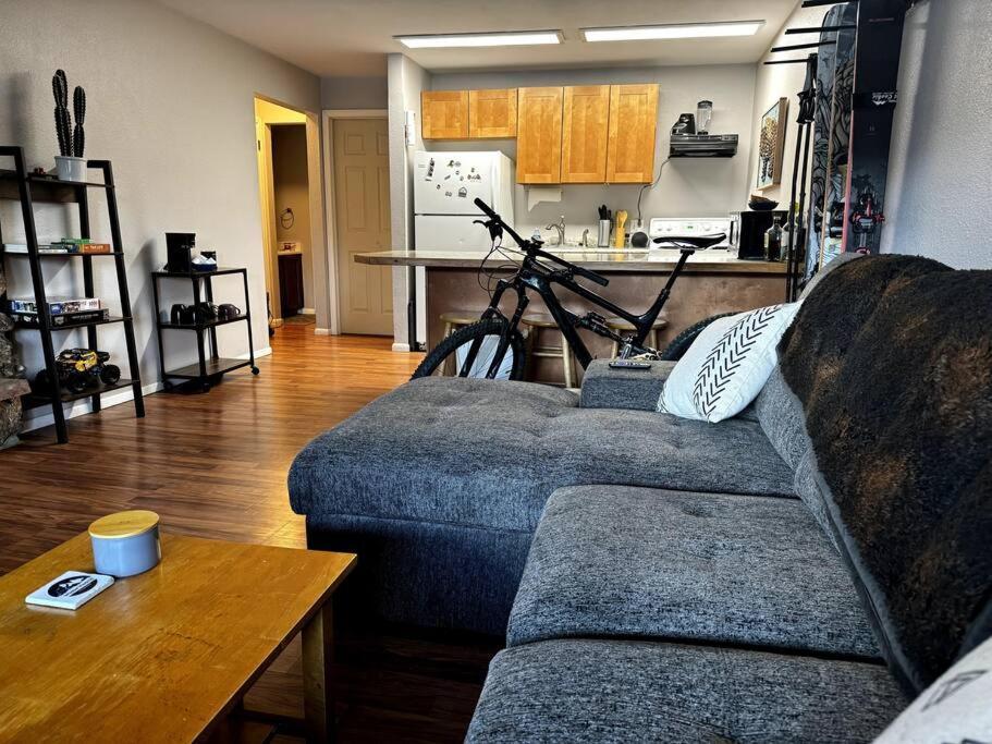 Cozy Condo In Winter Park - On Blue Bus Route - Walk To Downtown, Restaurants, Grocery Luaran gambar